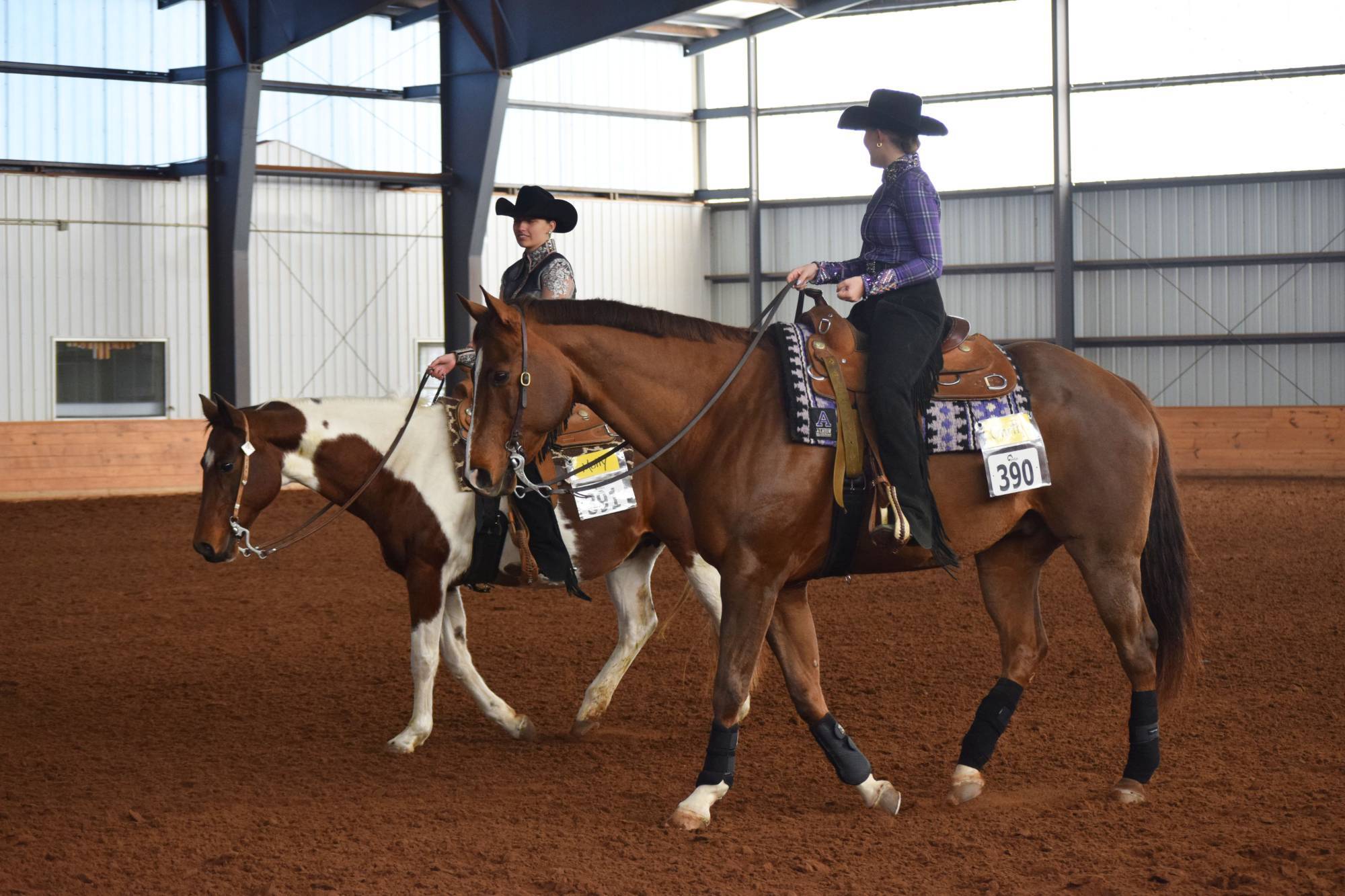 Albion Show